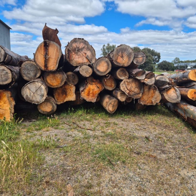 Elwood Timber Floor Timber logs - Manufacturing Perth - Timber machining services